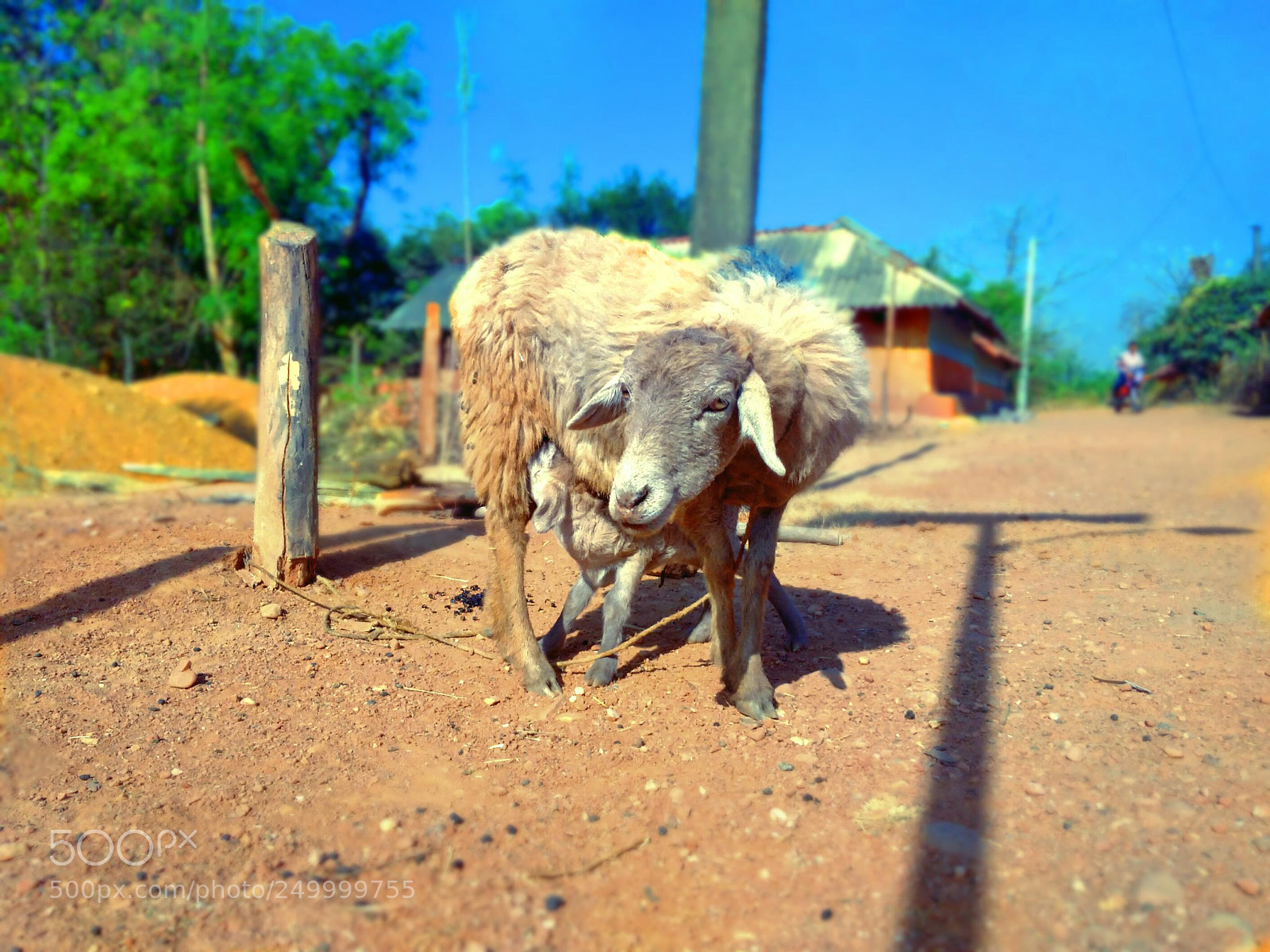 Xiaomi Redmi 4A sample photo. Untitled photography