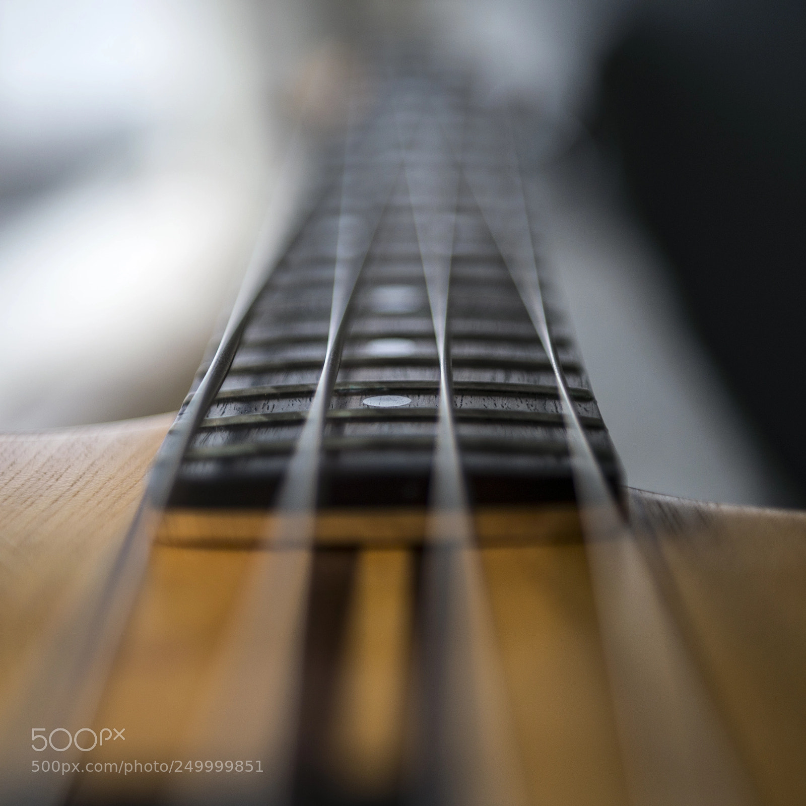 Nikon D610 sample photo. Bass photography