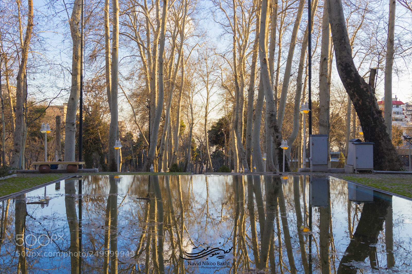 Canon EOS 80D sample photo. Mirror photography