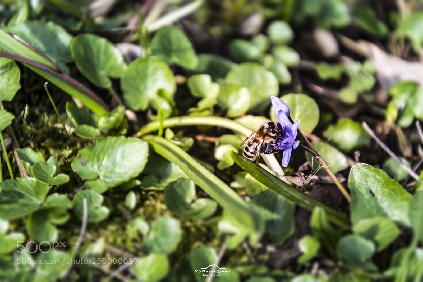 Nikon D7200 sample photo. Nature details! photography