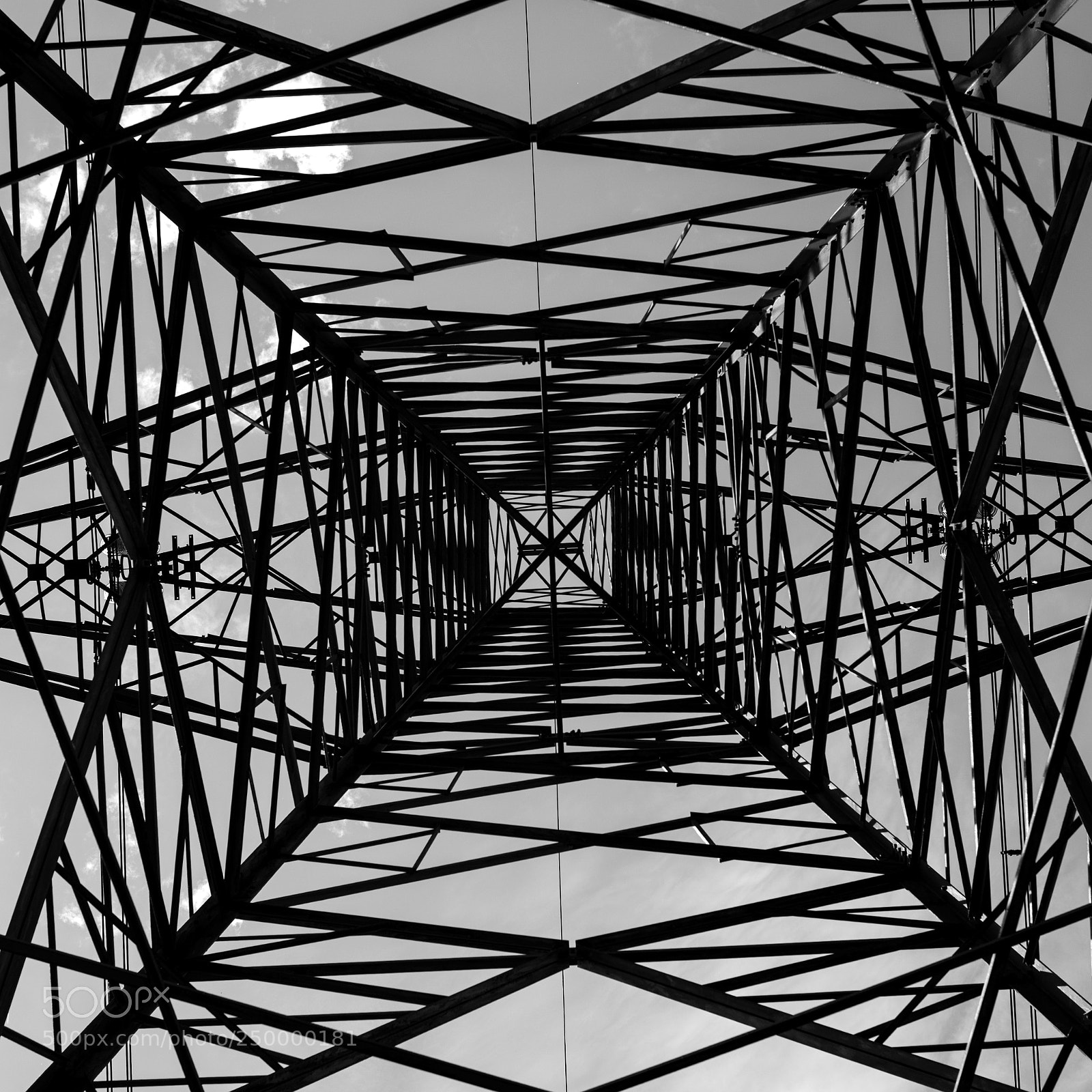 Nikon D810 sample photo. Entangled  photography