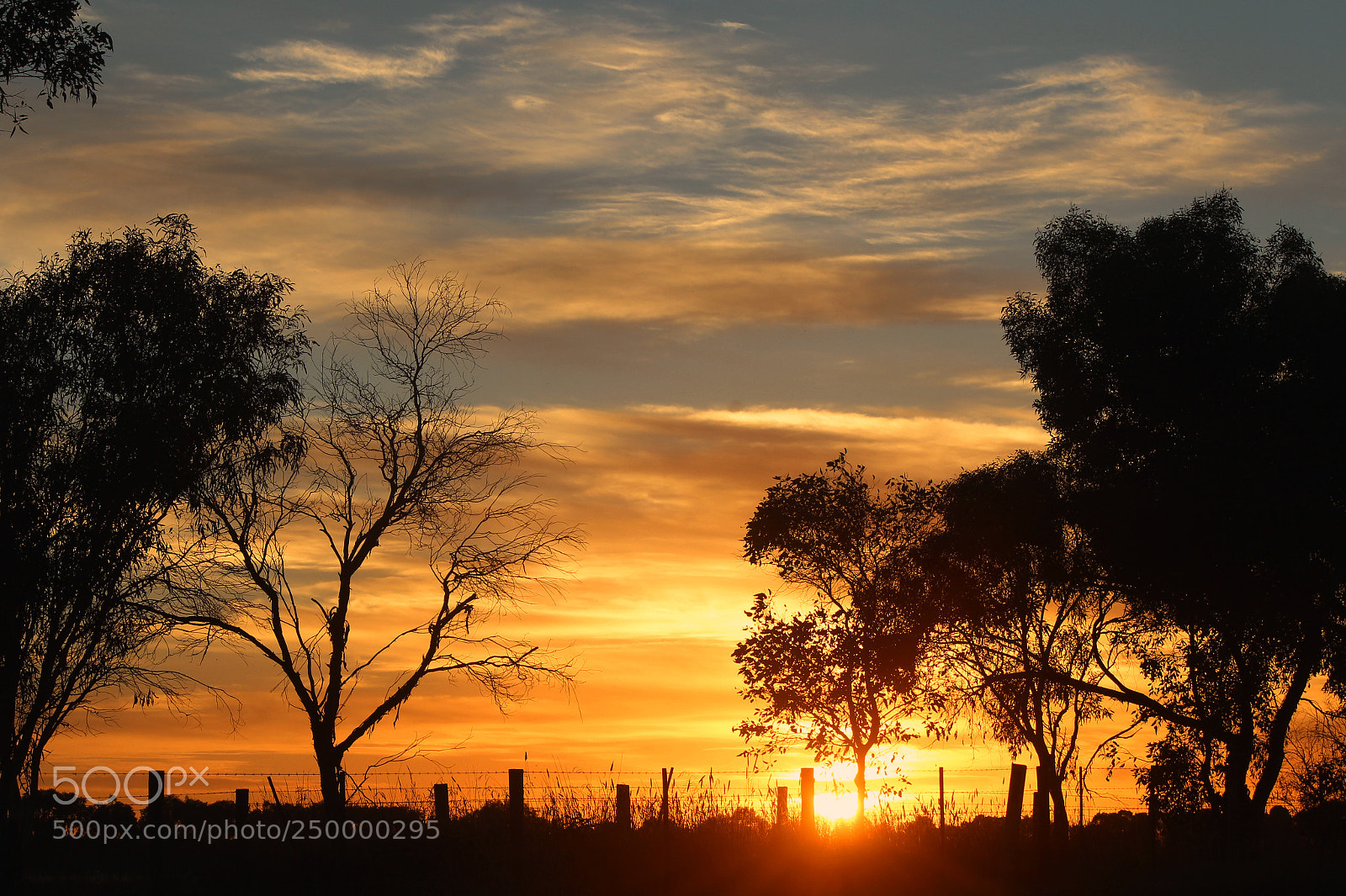 Canon EOS 600D (Rebel EOS T3i / EOS Kiss X5) sample photo. Morning suns feel! photography