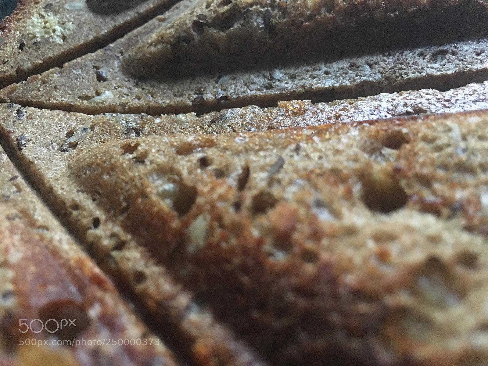 Apple iPhone 6s sample photo. Untitled photography