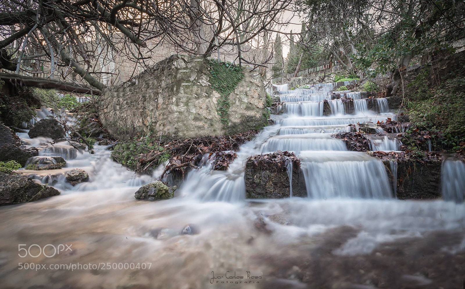 Nikon D610 sample photo. Hutar photography