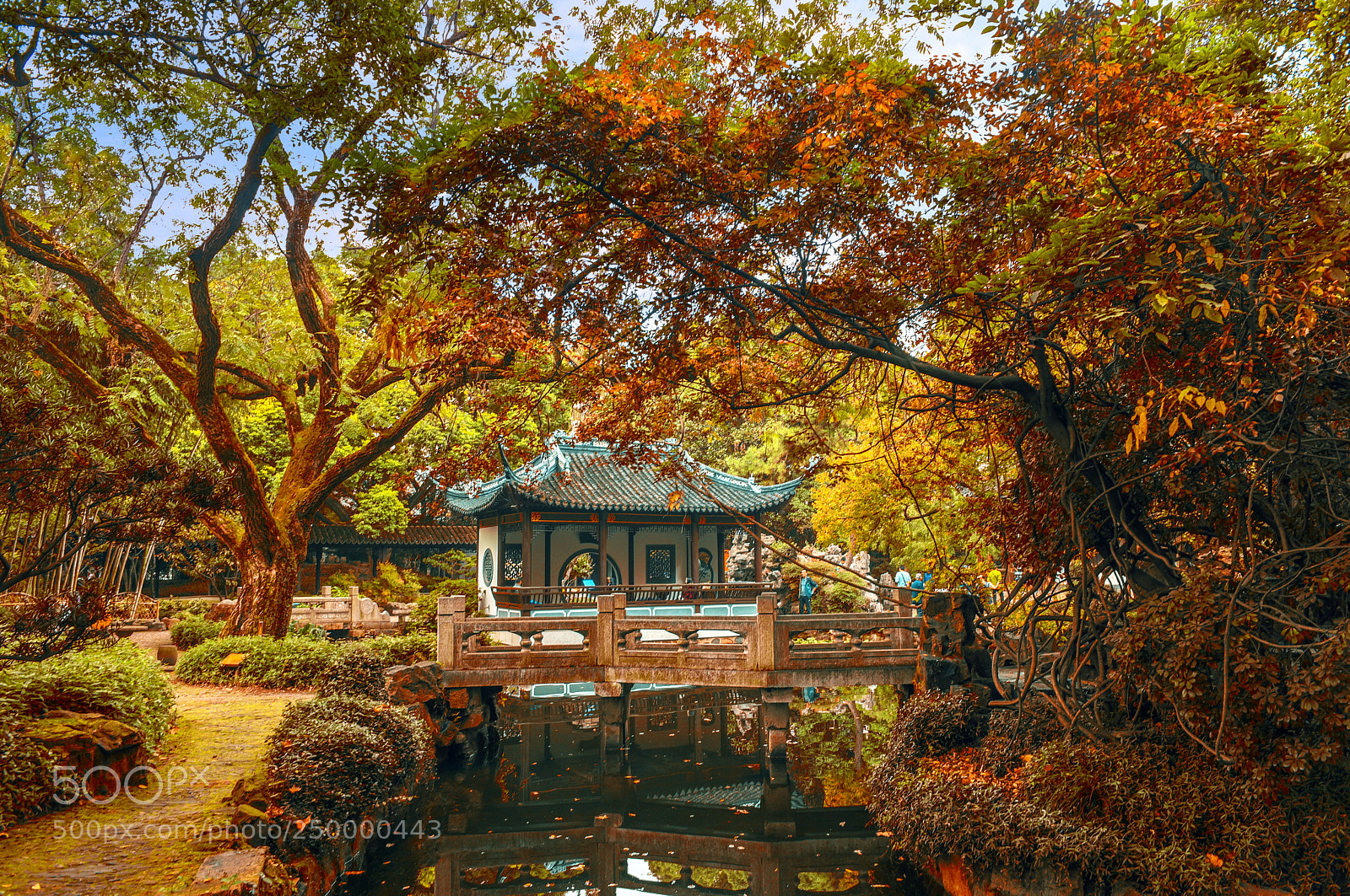 Nikon D750 sample photo. Autumn chinese park photography