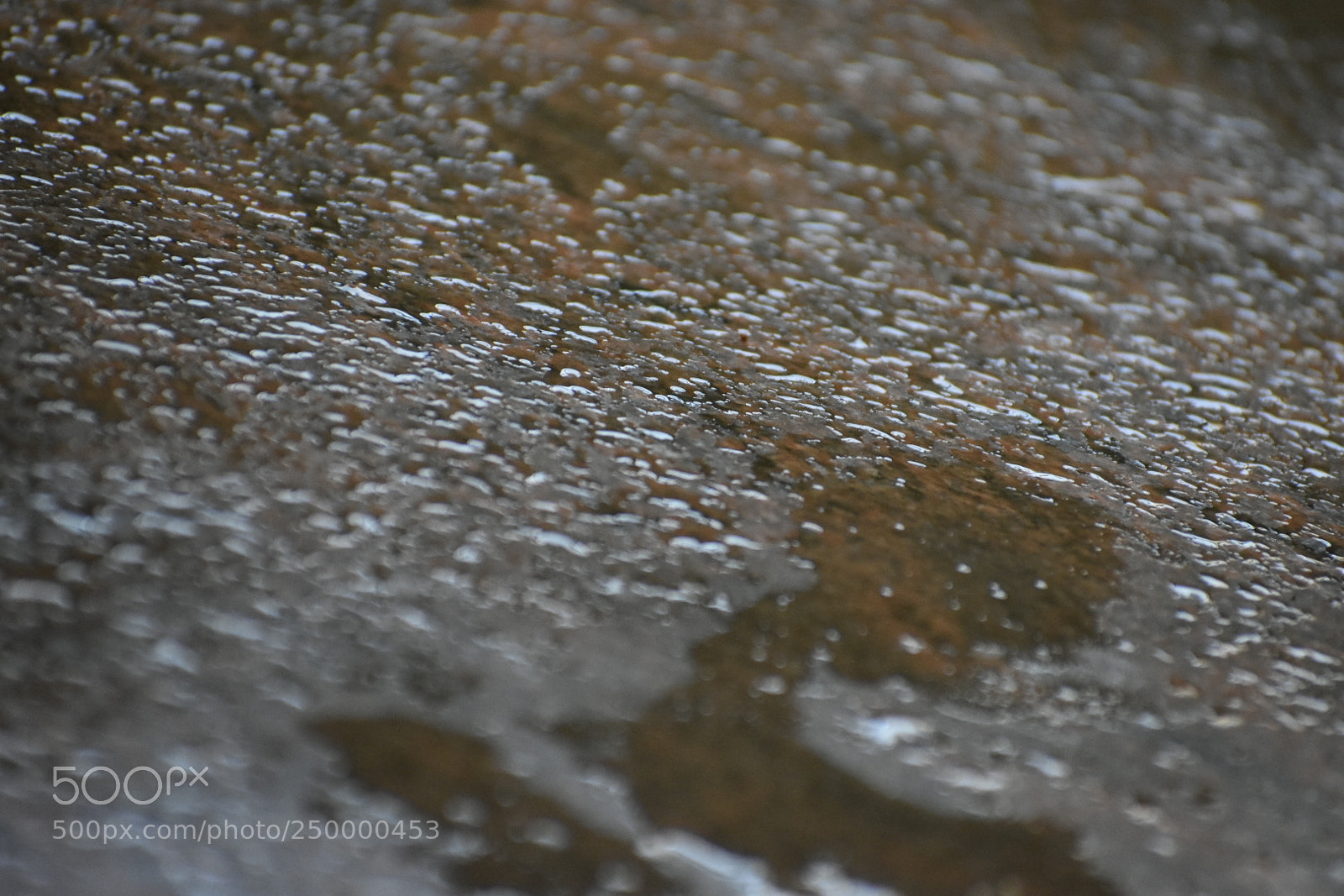 Nikon D3400 sample photo. Fluid photography