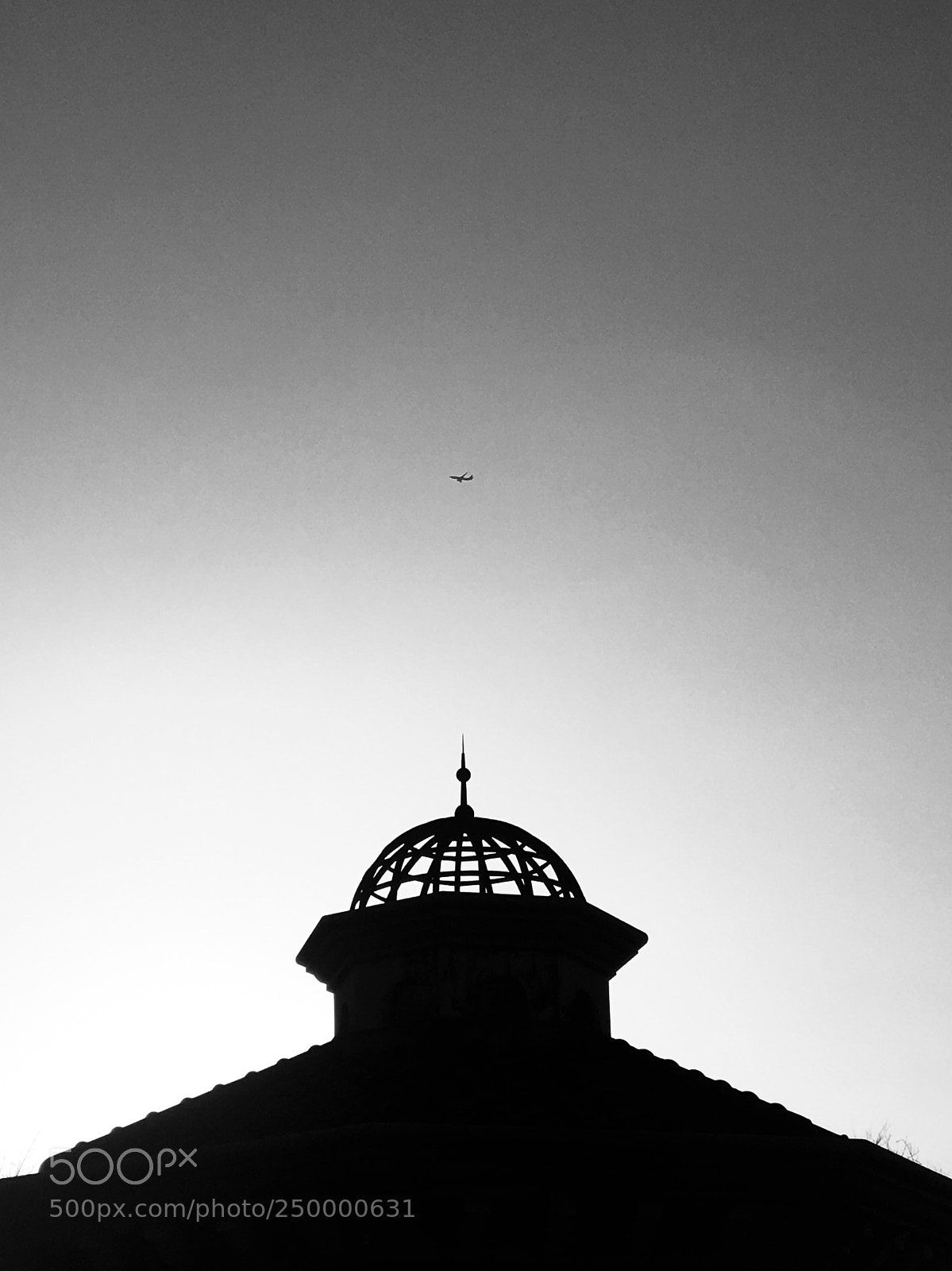 Apple iPhone 6s sample photo. Untitled photography