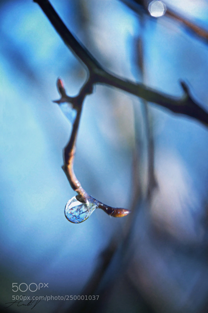 Canon EOS 7D sample photo. One little drop photography