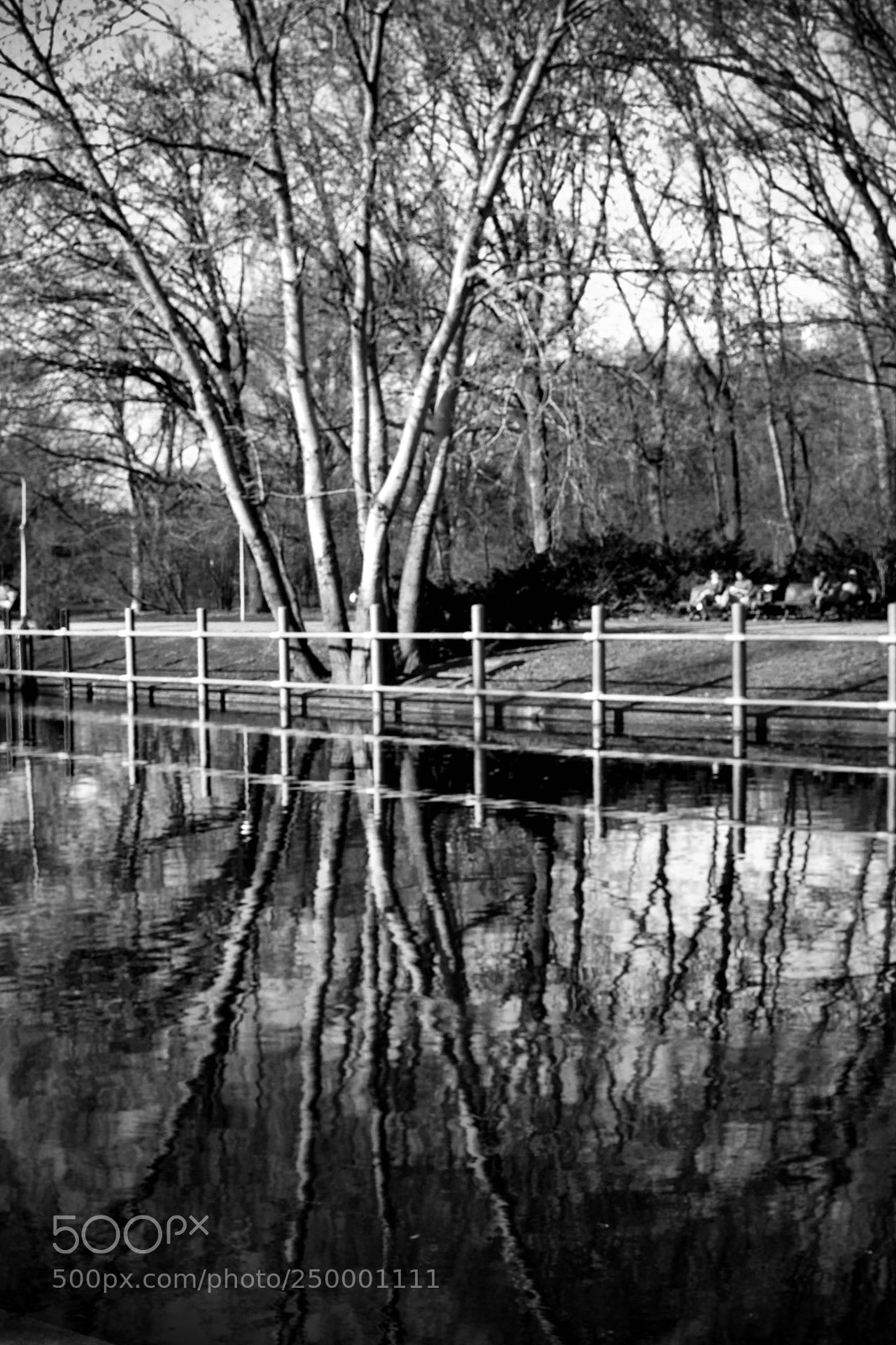 Nikon D3300 sample photo. Untitled photography