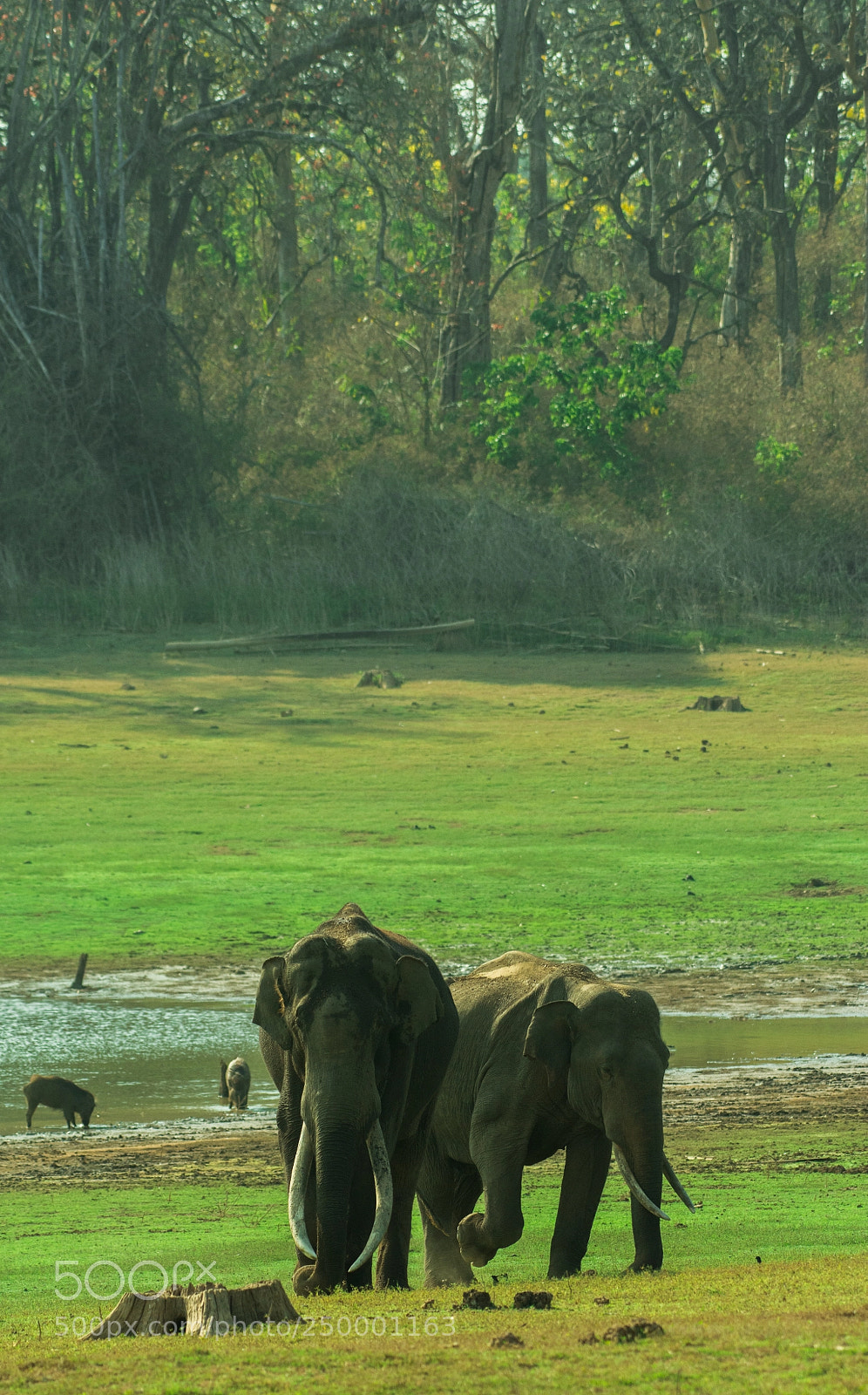 Nikon D7100 sample photo. Getting into the frame.. photography