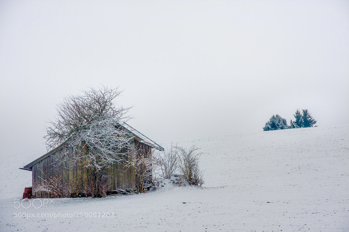 Canon EOS 40D sample photo. The small barn on photography