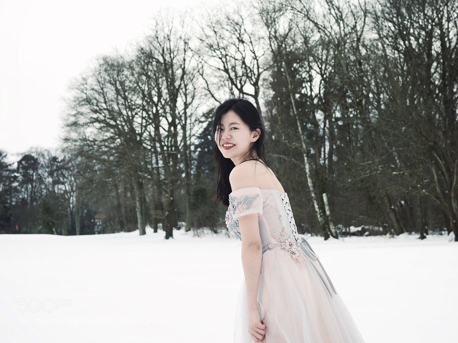 Nikon D800 sample photo. March snow photography
