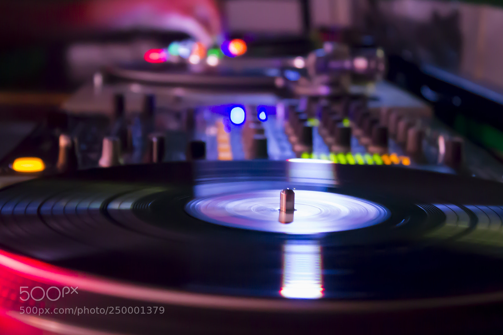 Canon EOS 1100D (EOS Rebel T3 / EOS Kiss X50) sample photo. Zoo club 2017 photography