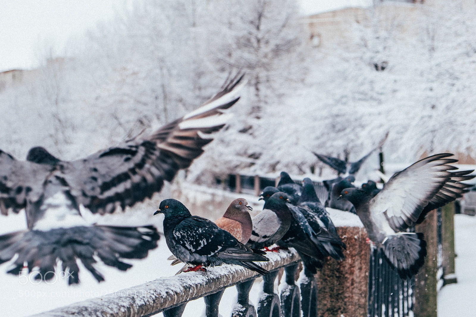 Fujifilm X-T1 sample photo. Spring in st. petersburg #2 photography