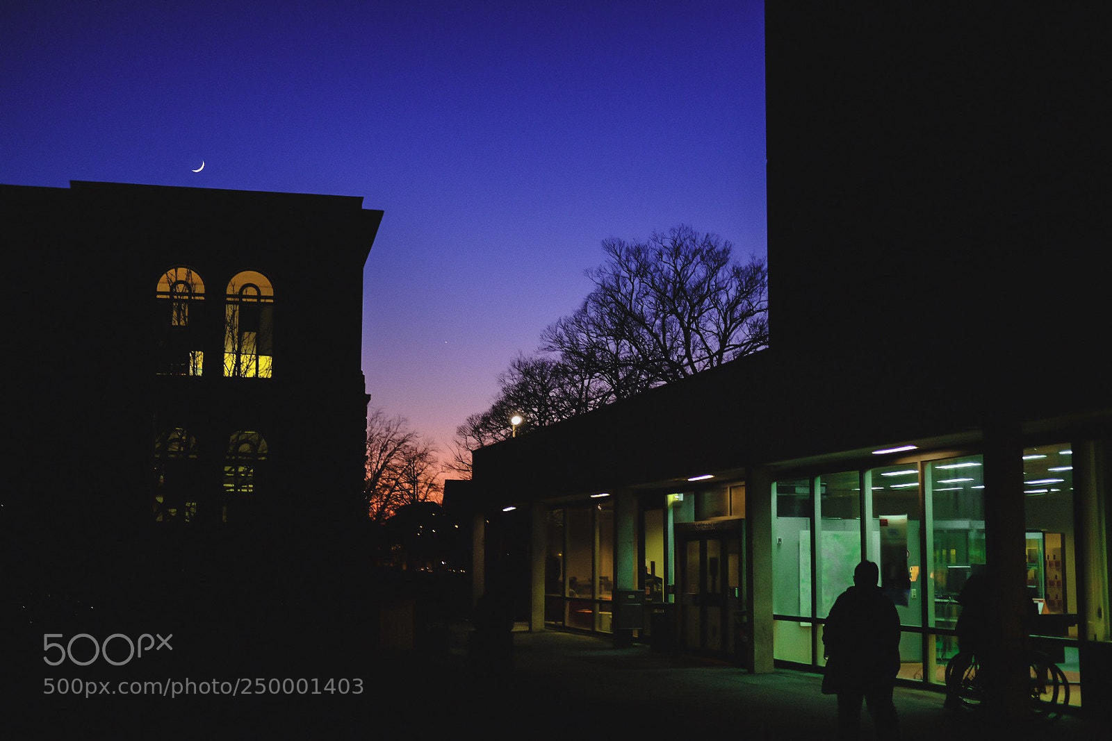 Fujifilm X-T20 sample photo. Stand by library photography