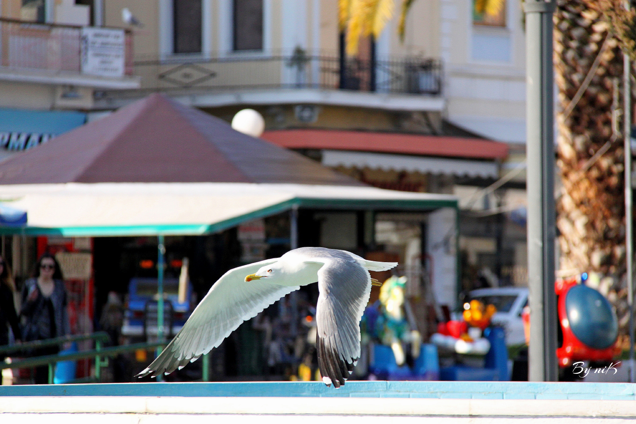 Canon EF-S 18-200mm F3.5-5.6 IS sample photo. ''xαμηλες πτησεις'' στην πλατεια της Καβαλας photography