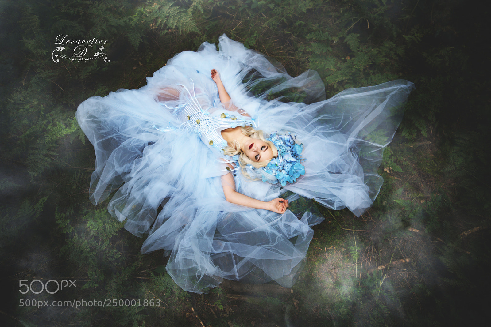 Nikon D800 sample photo. Naholia photography