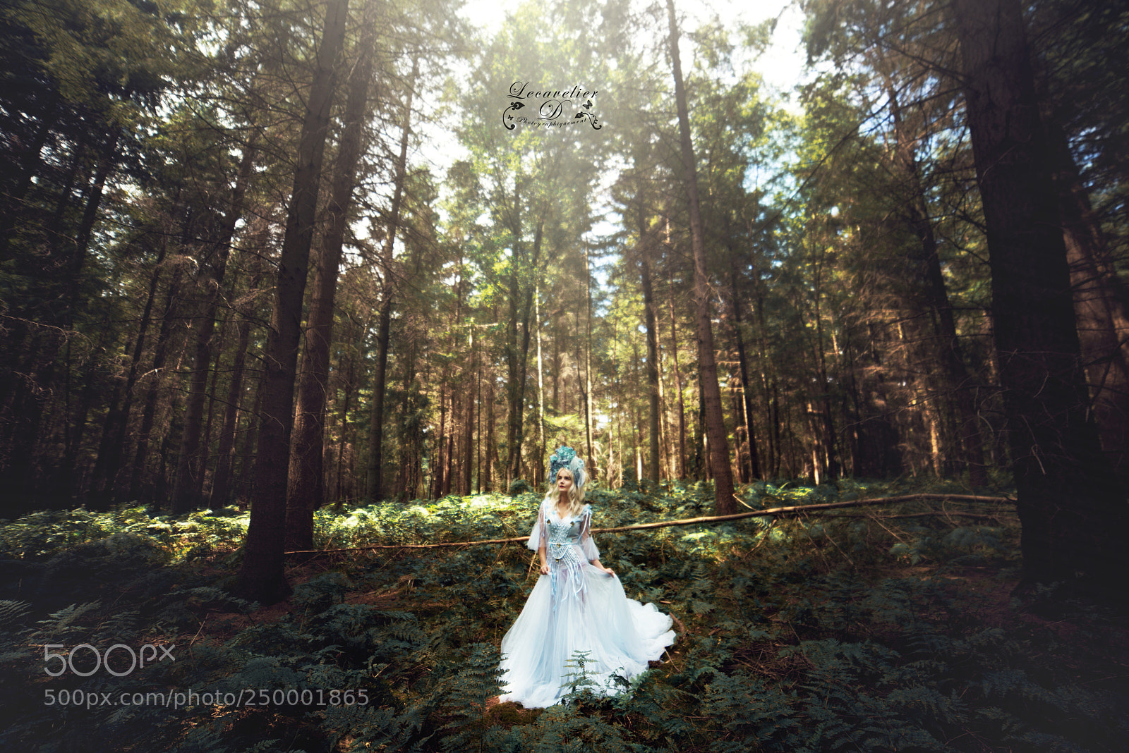 Nikon D800 sample photo. Naholia photography