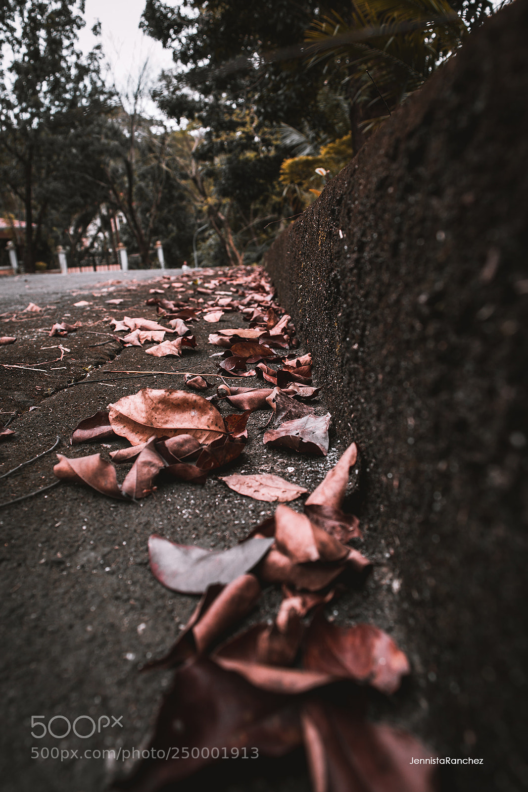 Nikon D5200 sample photo. Untitled photography