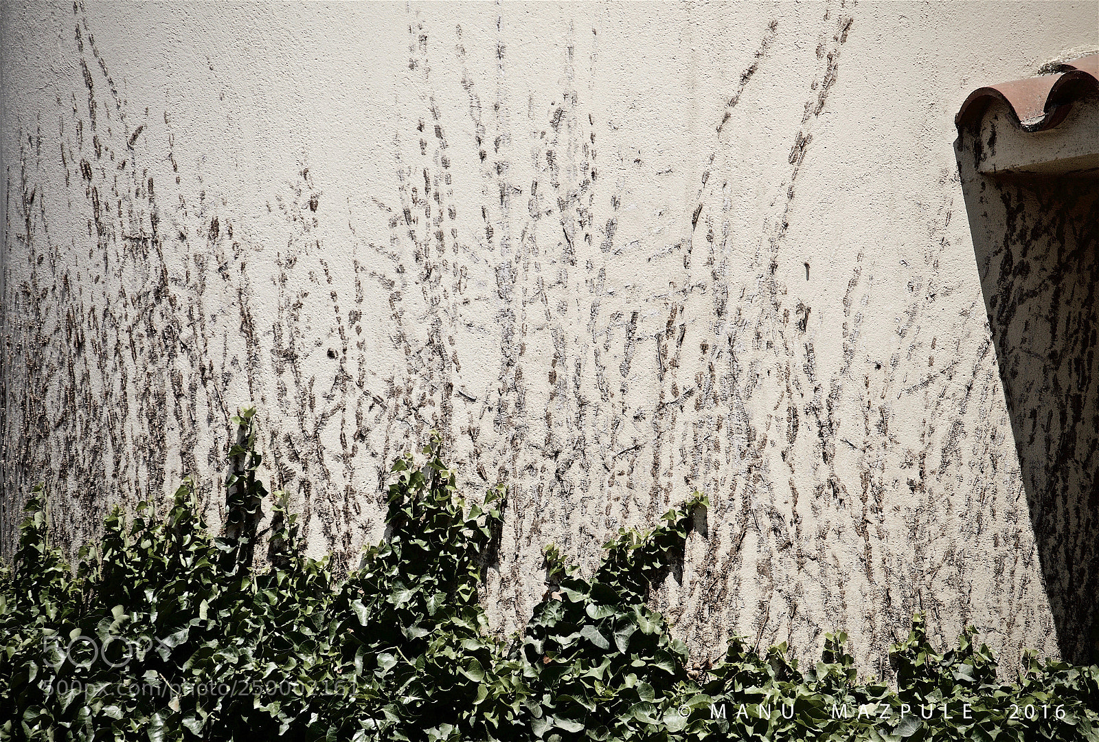 Canon EOS 70D sample photo. 250. girona. catalunya..... photography