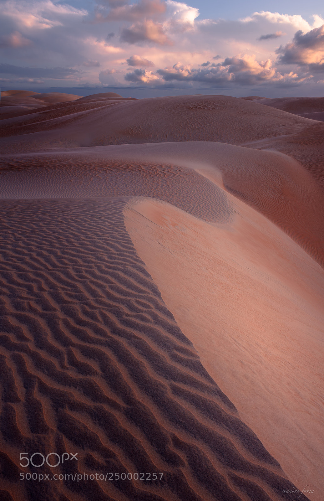 Nikon D810 sample photo. Rosado's dunes photography