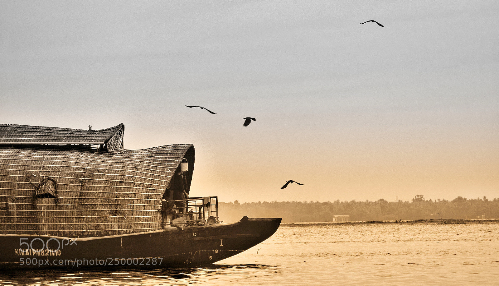 Nikon D3200 sample photo. Mornings v2 photography