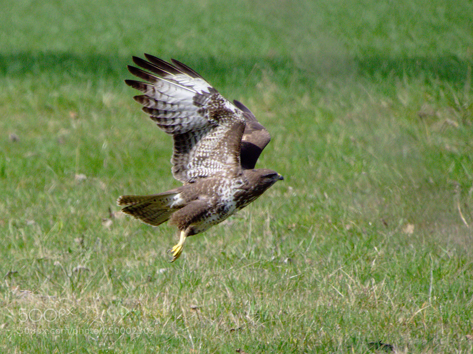 Olympus OM-D E-M10 sample photo. Taking off photography