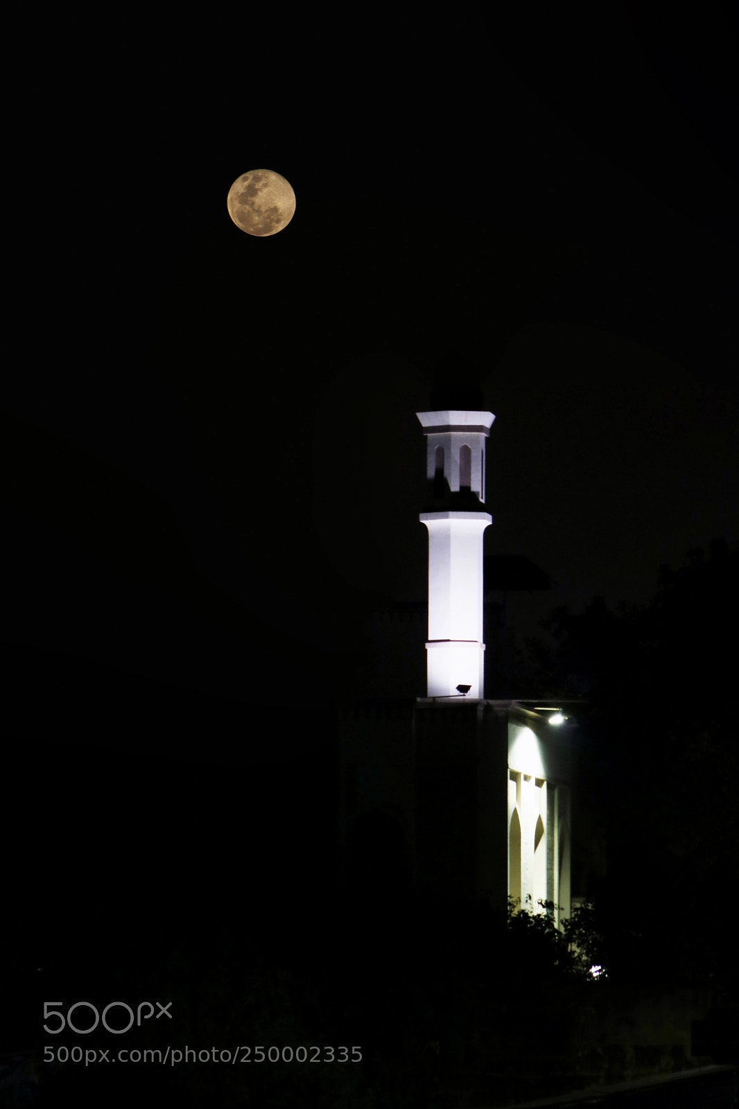Canon EOS 750D (EOS Rebel T6i / EOS Kiss X8i) sample photo. Body guard mosque photography