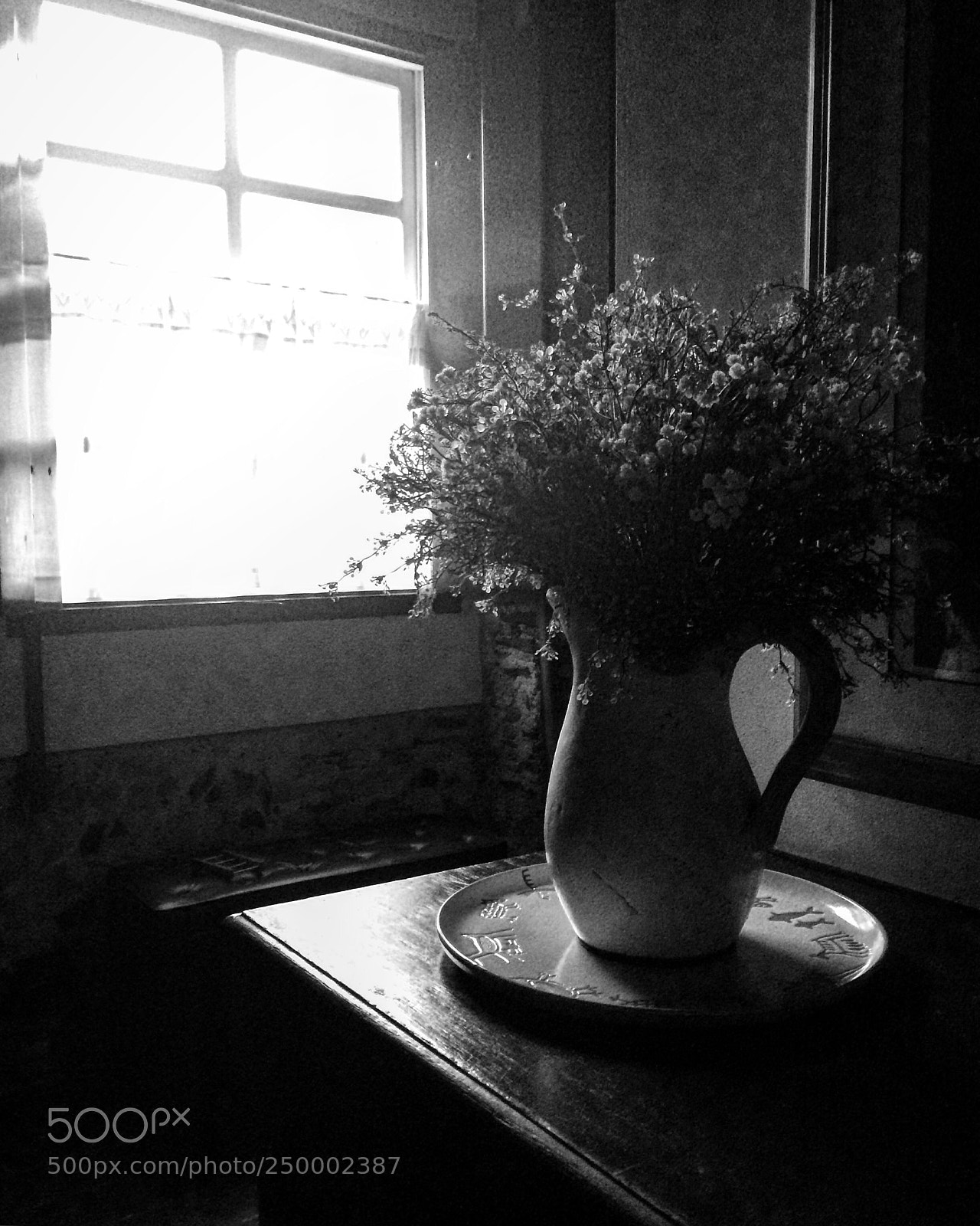 Apple iPhone 5s sample photo. Vaso de flor photography