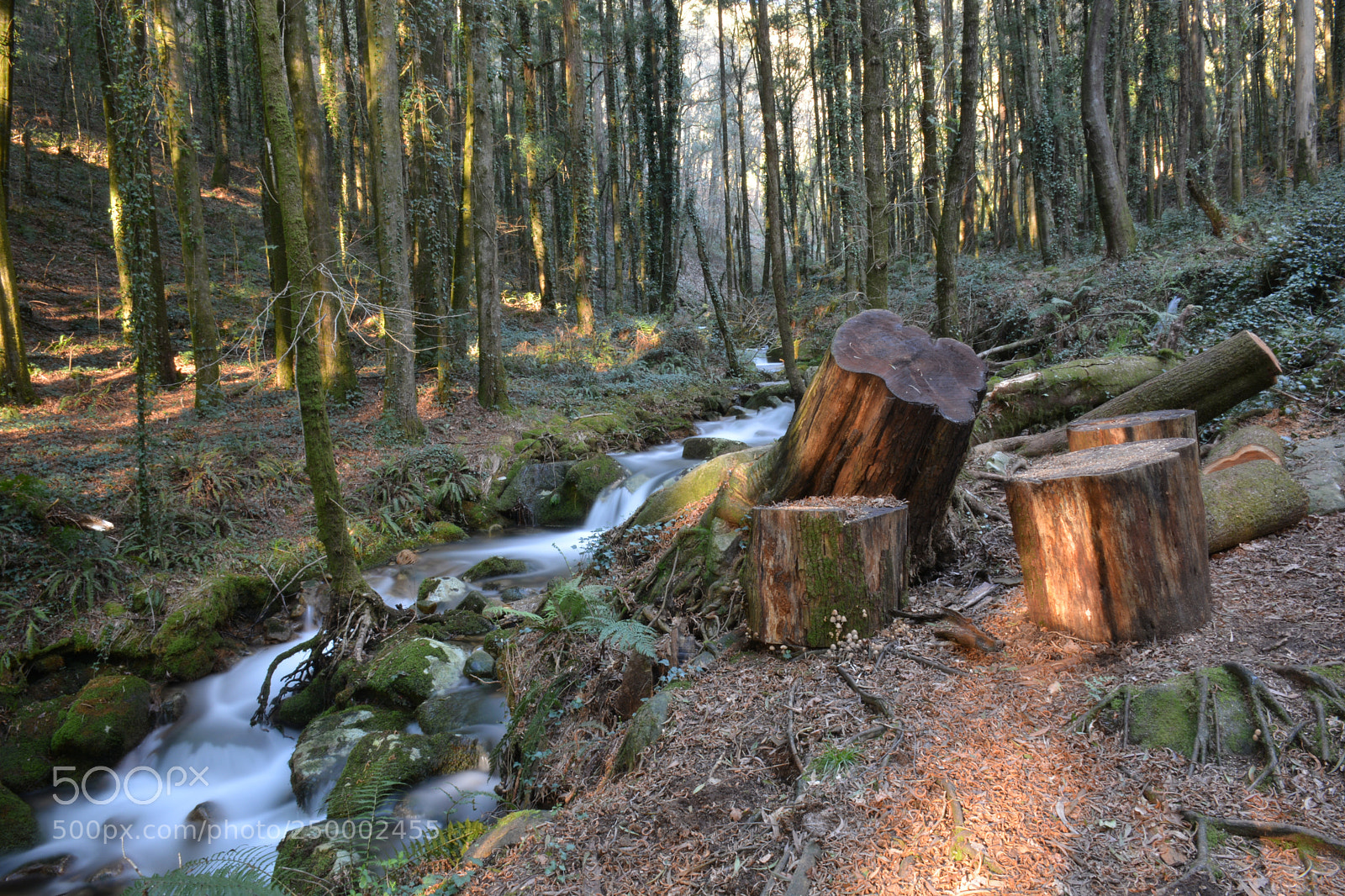 Nikon D5200 sample photo. Moaña photography