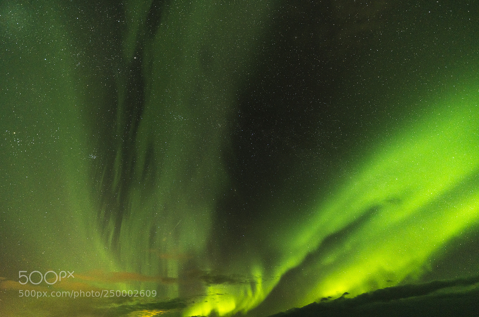 Sony a7R III sample photo. Lofoten aurora 1 photography