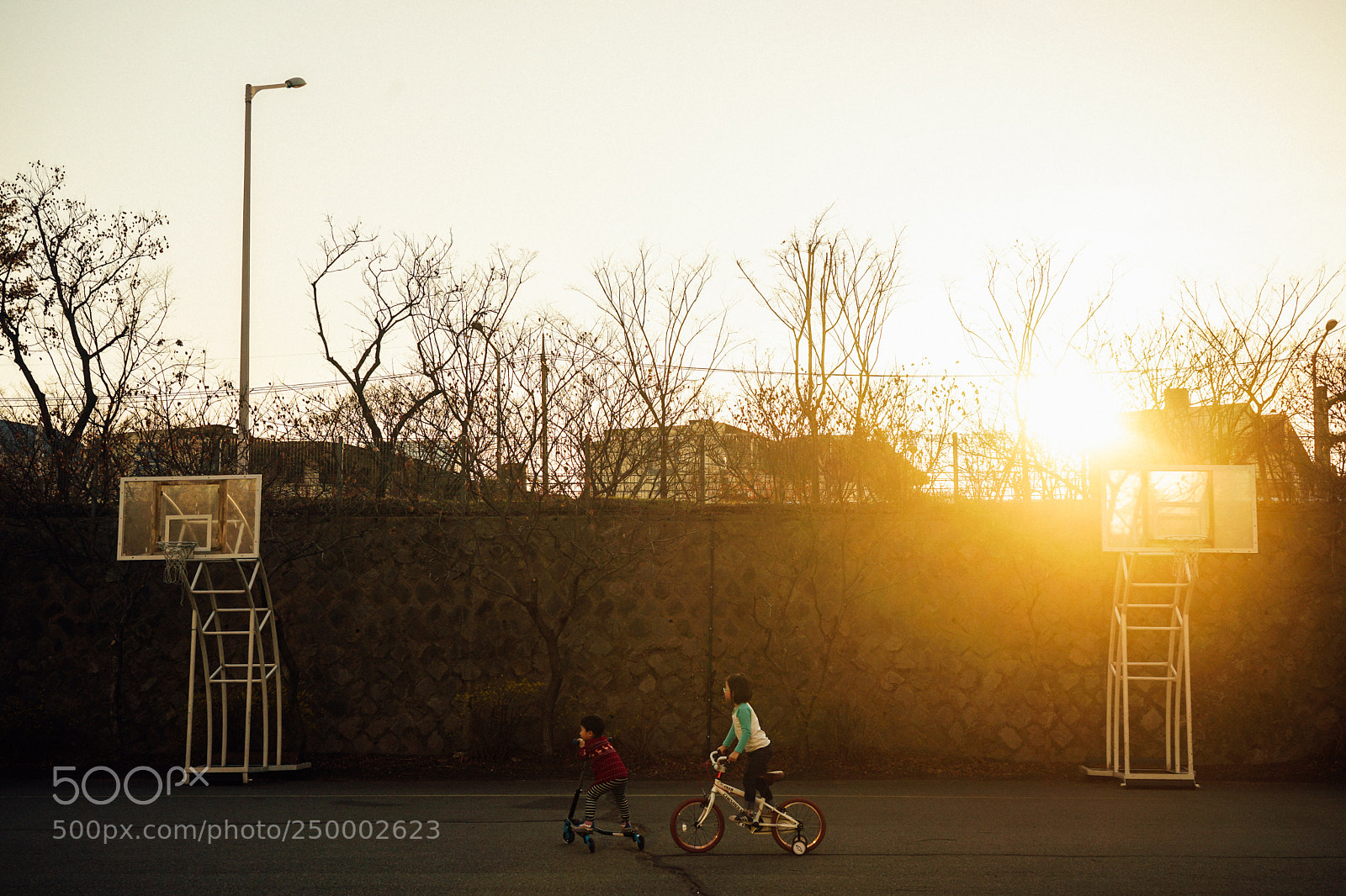 Sony a7 II sample photo. Untitled photography