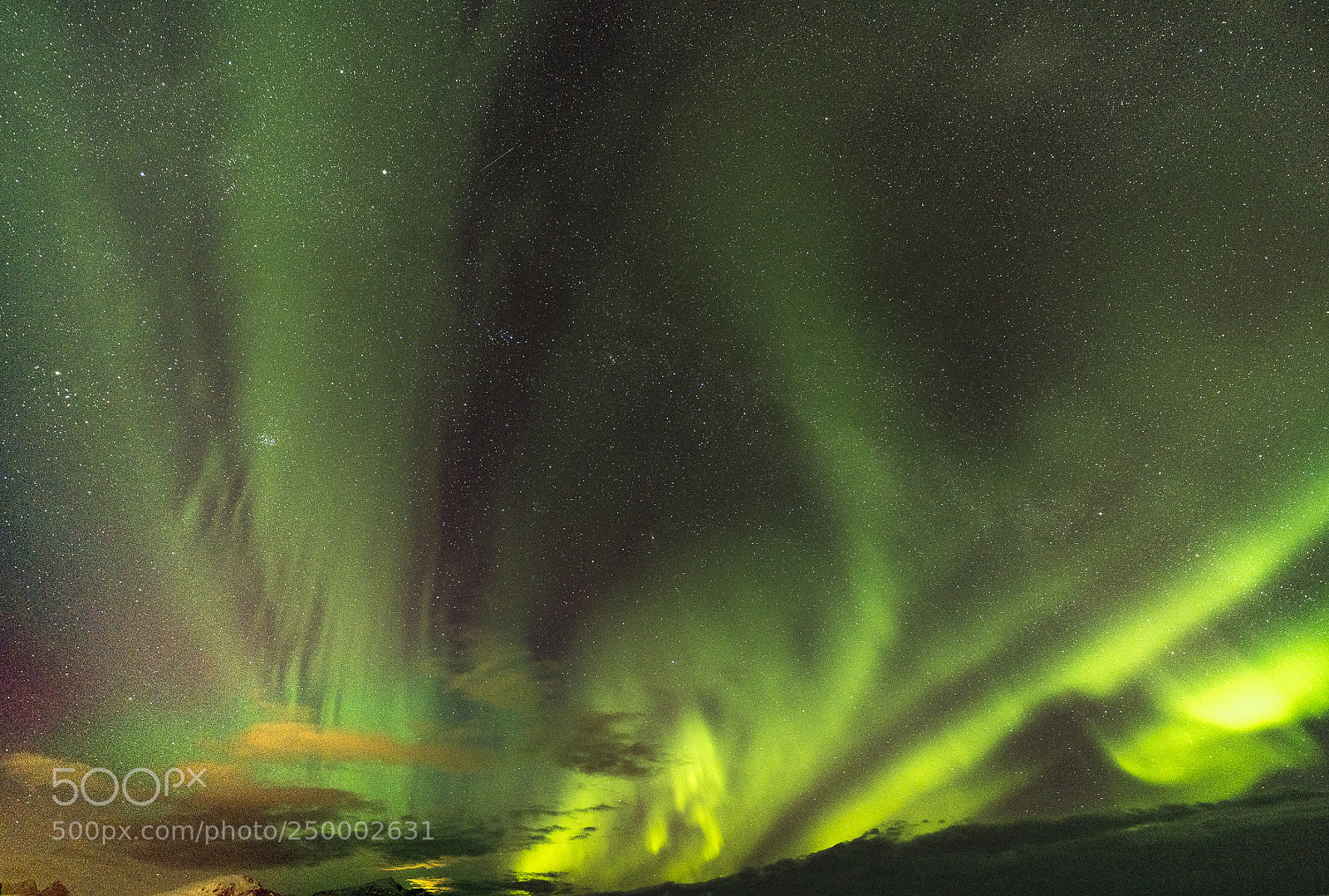 Sony a7R III sample photo. Lofoten aurora 2 photography
