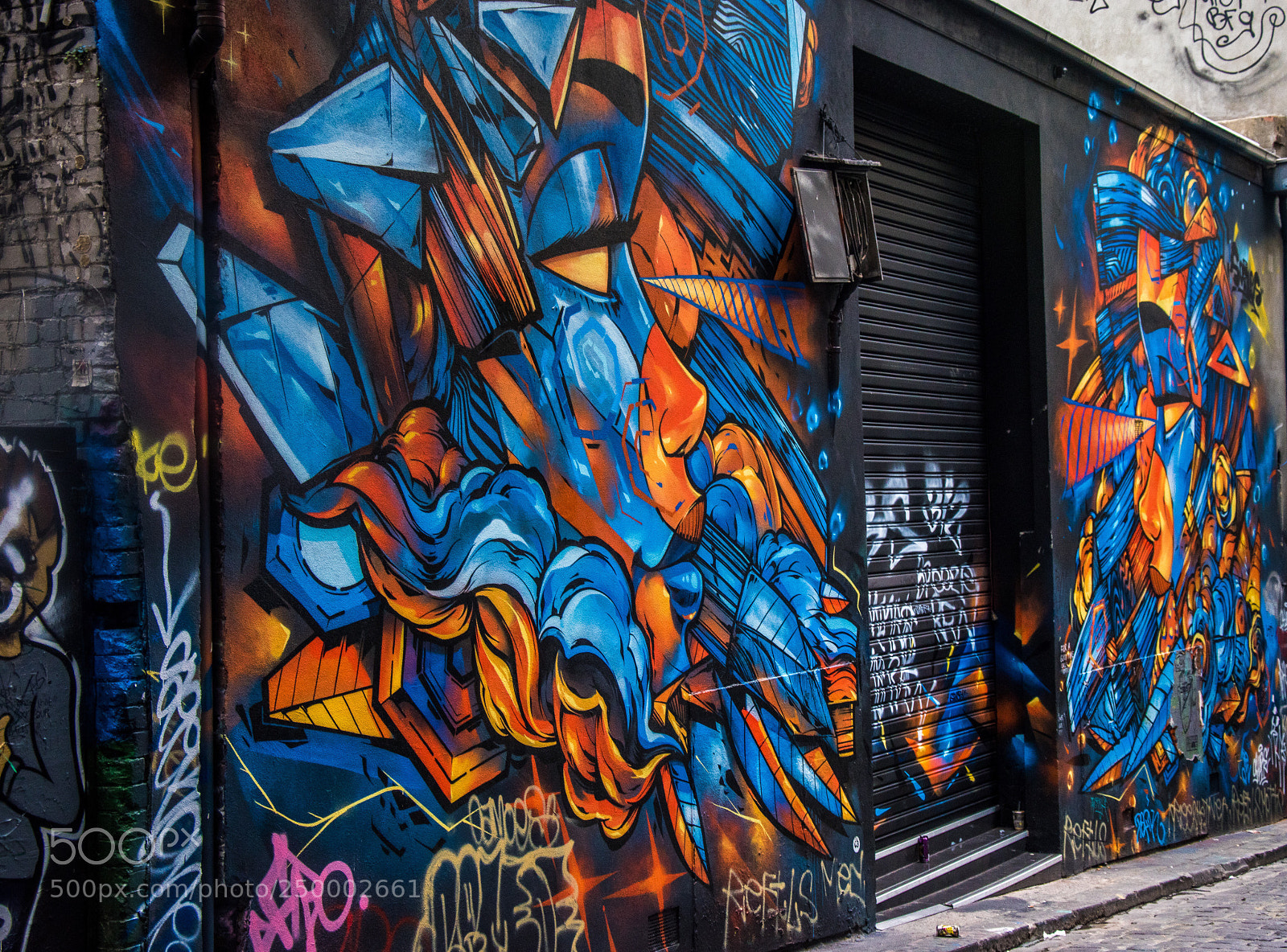 Nikon D5500 sample photo. Ready, steady, paint! photography