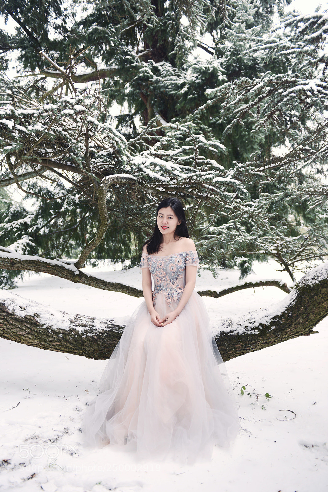 Nikon D800 sample photo. Beauty in march snow photography