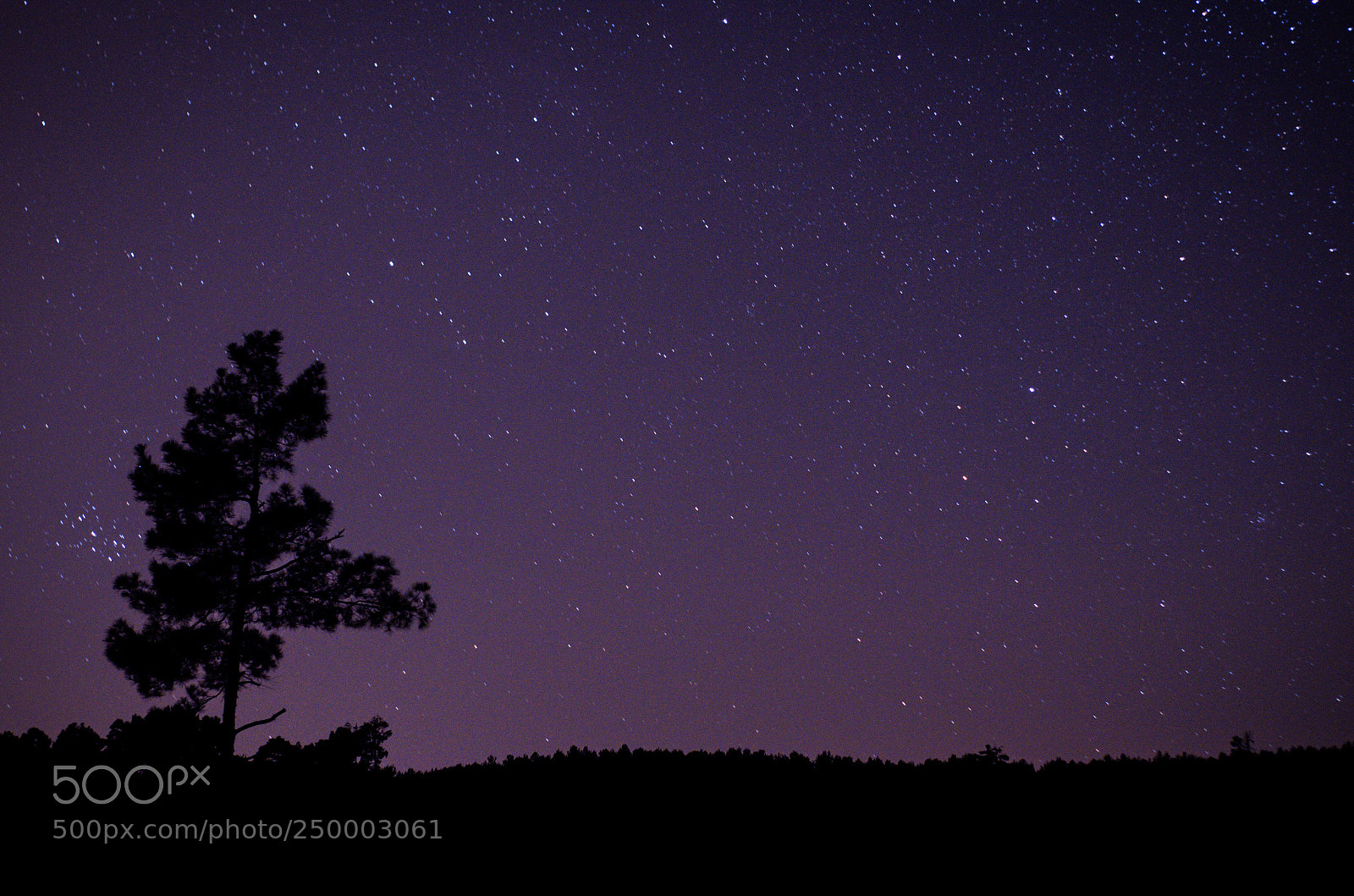 Nikon D5100 sample photo. 23:22:48 photography