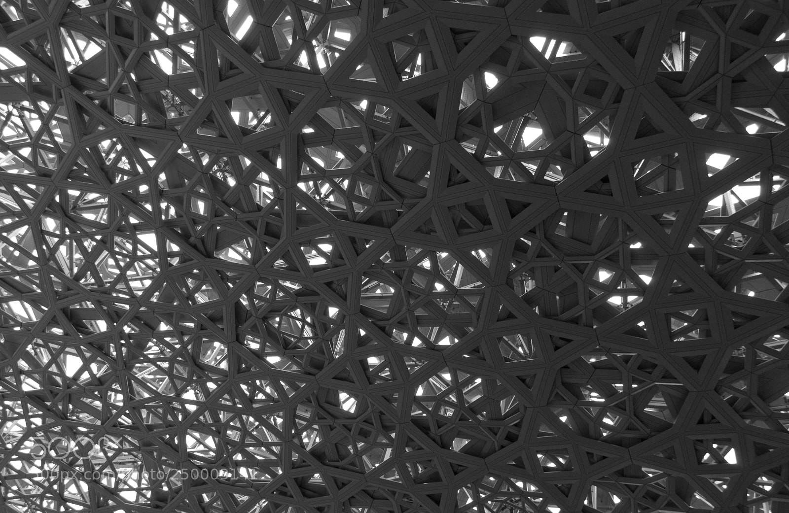 Nikon D3200 sample photo. Canopy photography