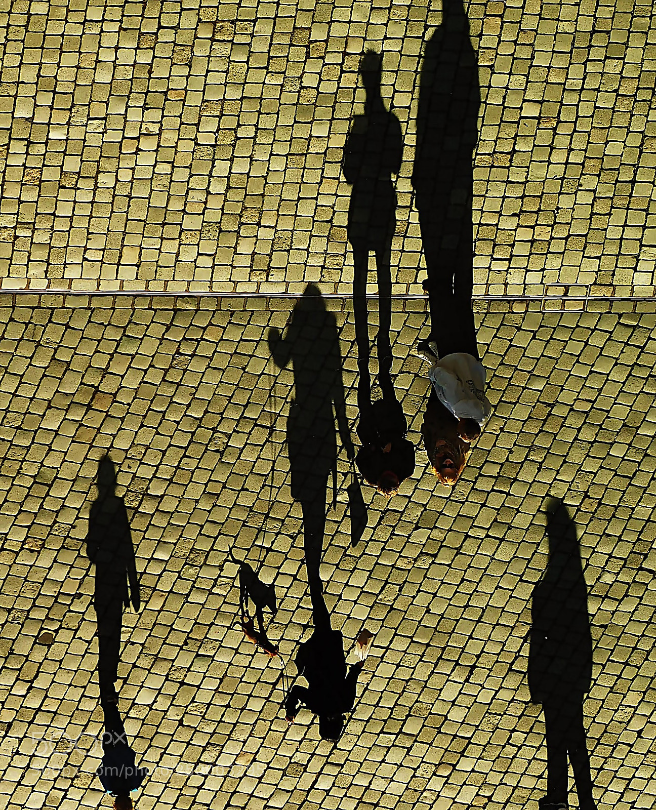 Nikon Coolpix L840 sample photo. Who is who-shadows photography