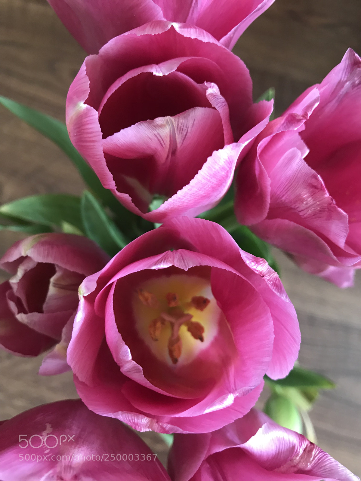 Apple iPhone 7 sample photo. Untitled photography