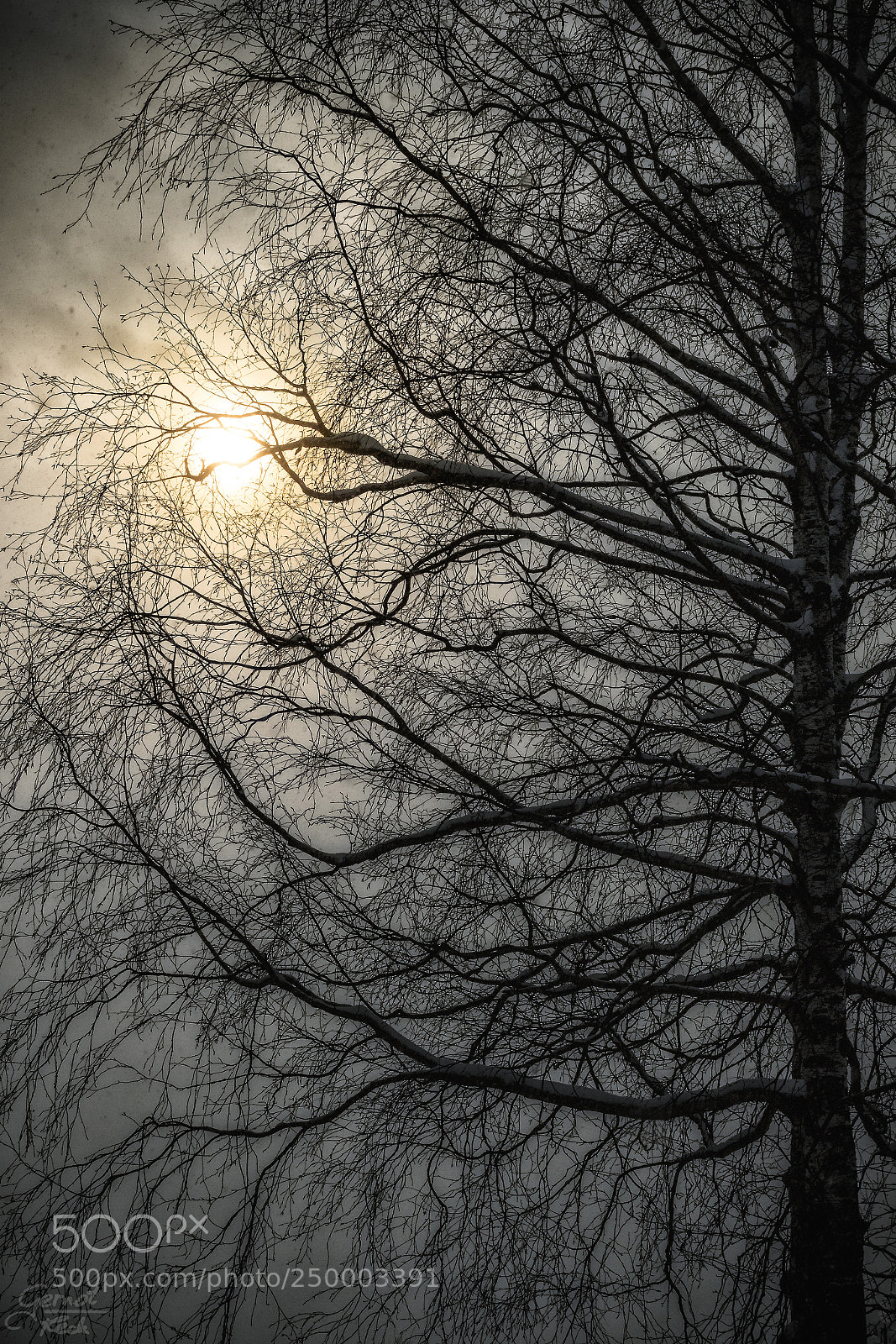 Canon EOS 700D (EOS Rebel T5i / EOS Kiss X7i) sample photo. Foggy photography