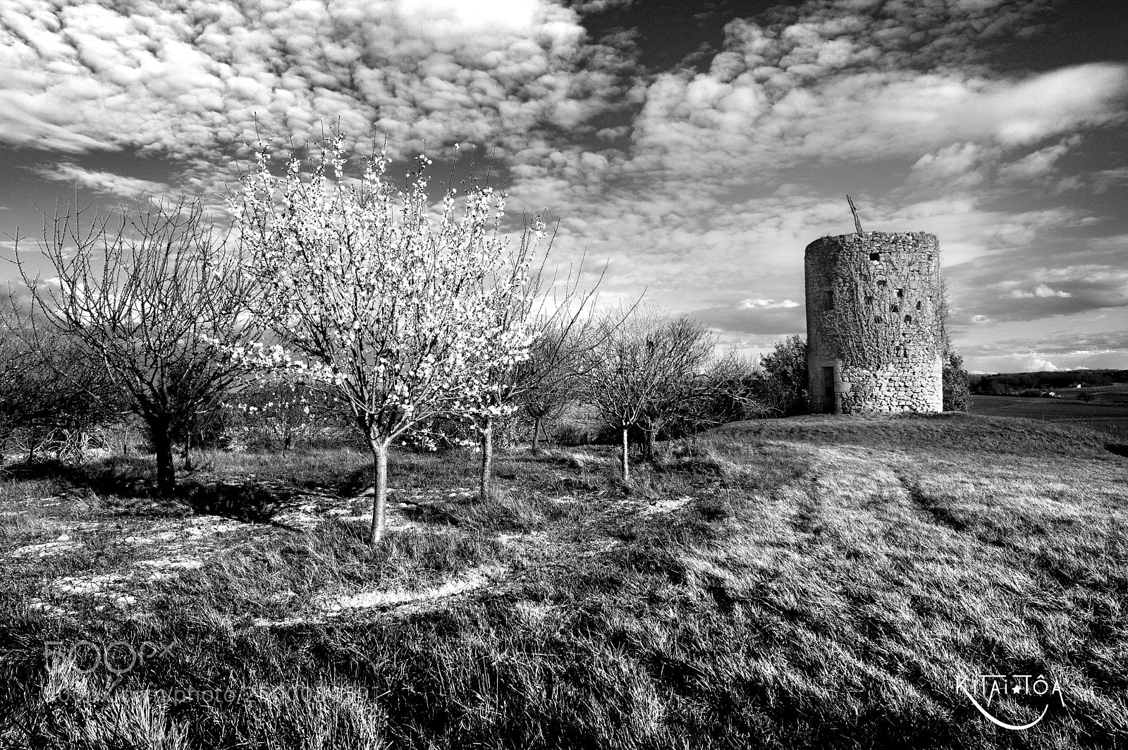 Fujifilm X-T20 sample photo. Moulin dugot et pommier photography