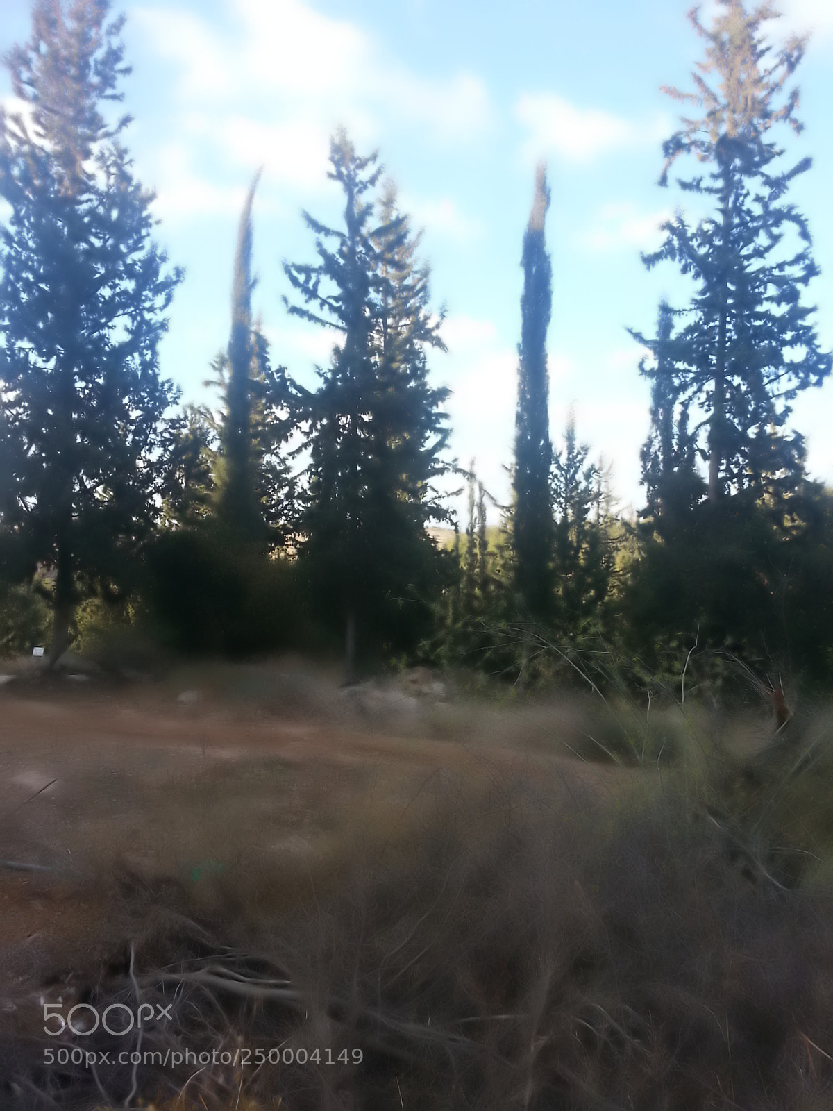 Samsung Galaxy S3 sample photo. Kibbutz einat (1) photography