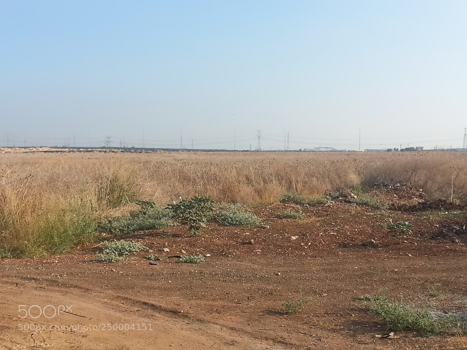Samsung Galaxy S3 sample photo. Kibbutz einat (1) photography
