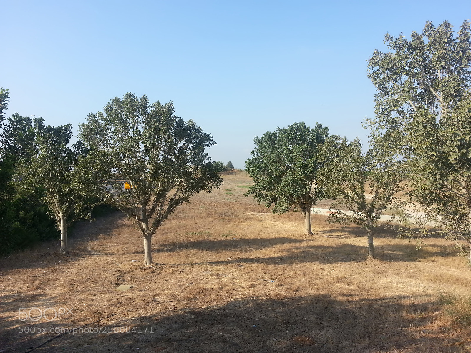 Samsung Galaxy S3 sample photo. Kibbutz einat (1) photography