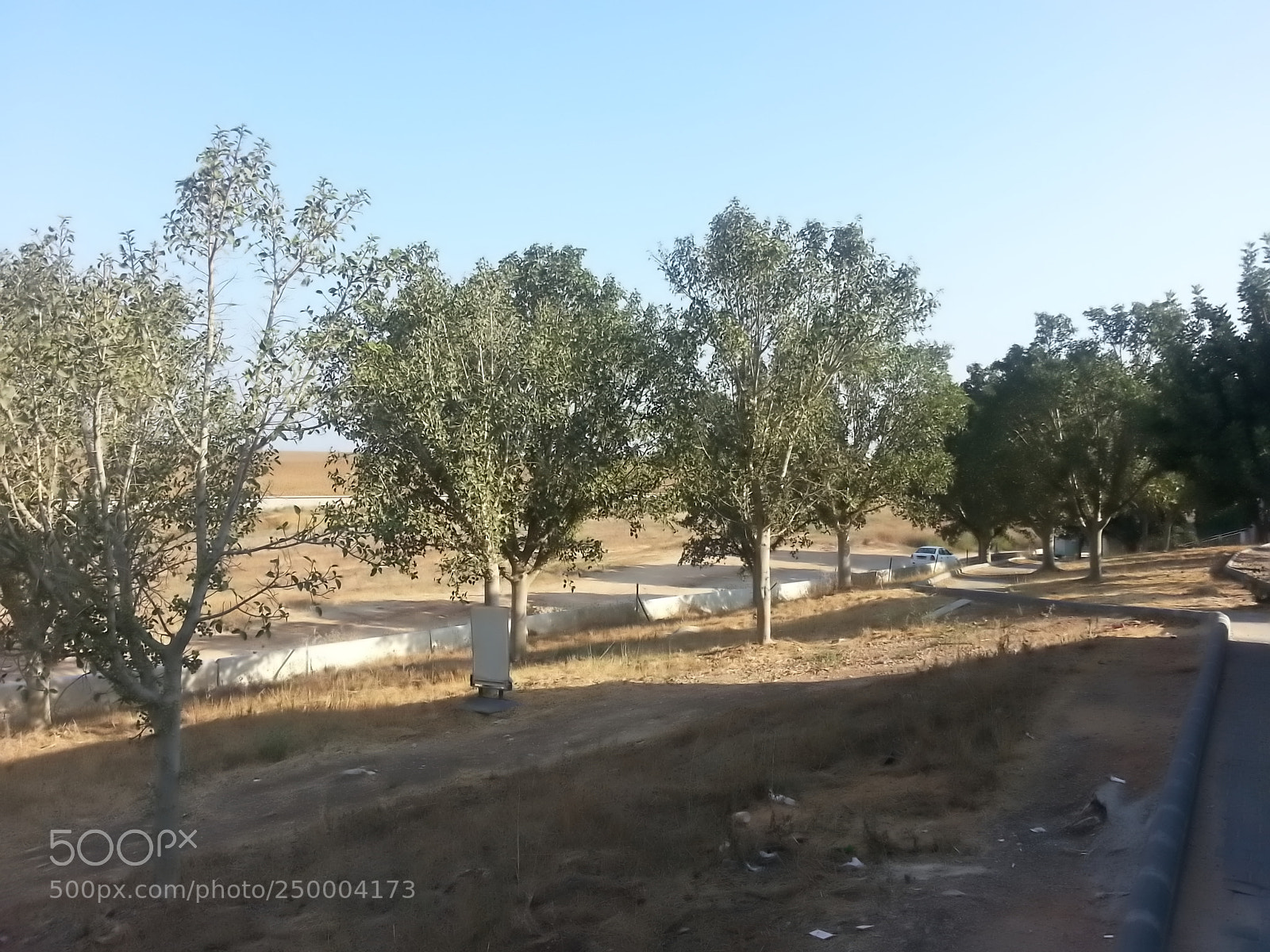 Samsung Galaxy S3 sample photo. Kibbutz einat (1) photography