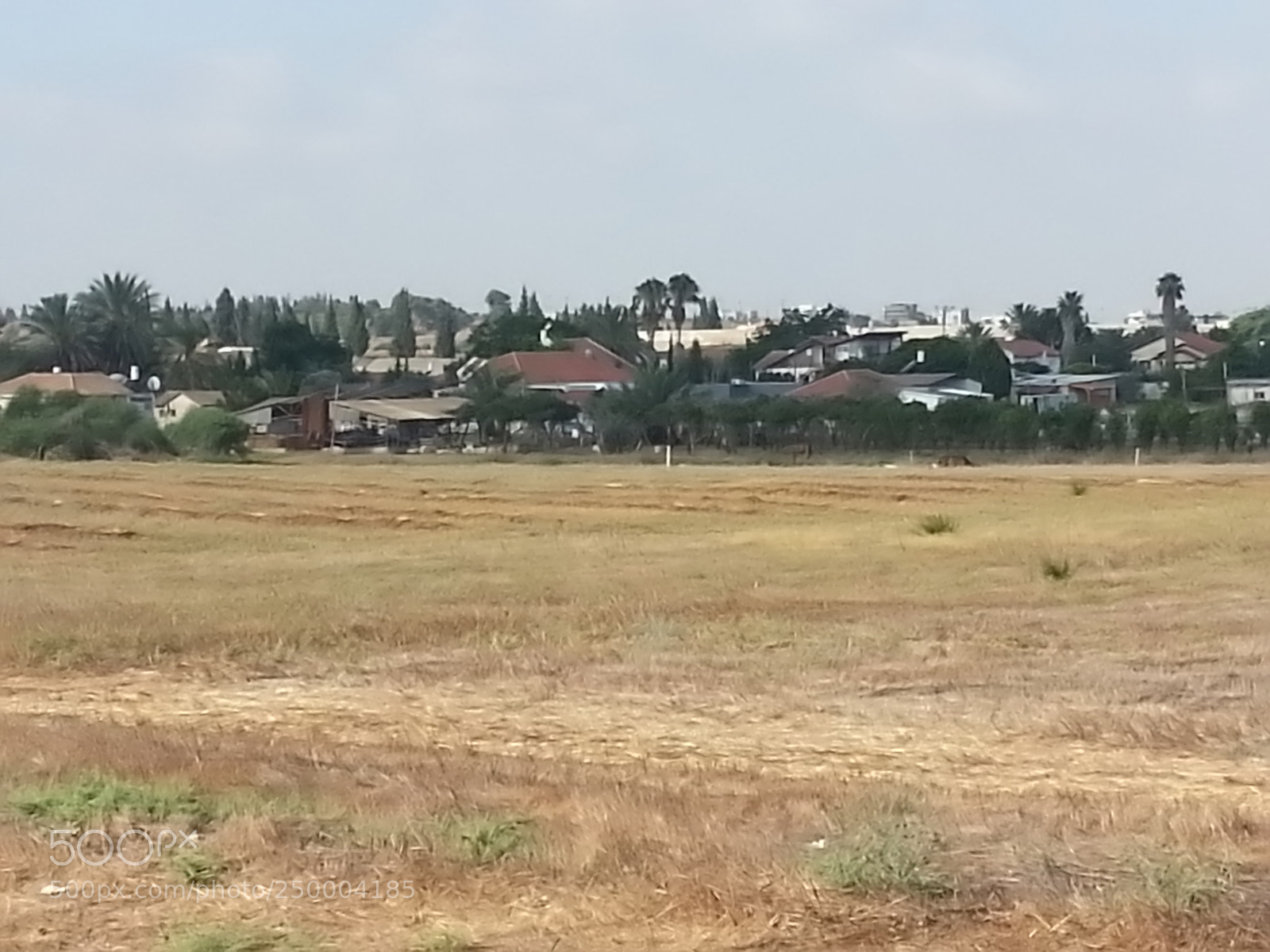 Samsung Galaxy S3 sample photo. Kibbutz einat (1) photography