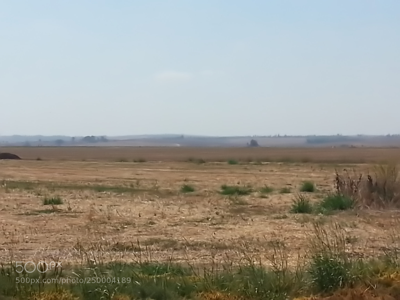 Samsung Galaxy S3 sample photo. Kibbutz einat (1) photography