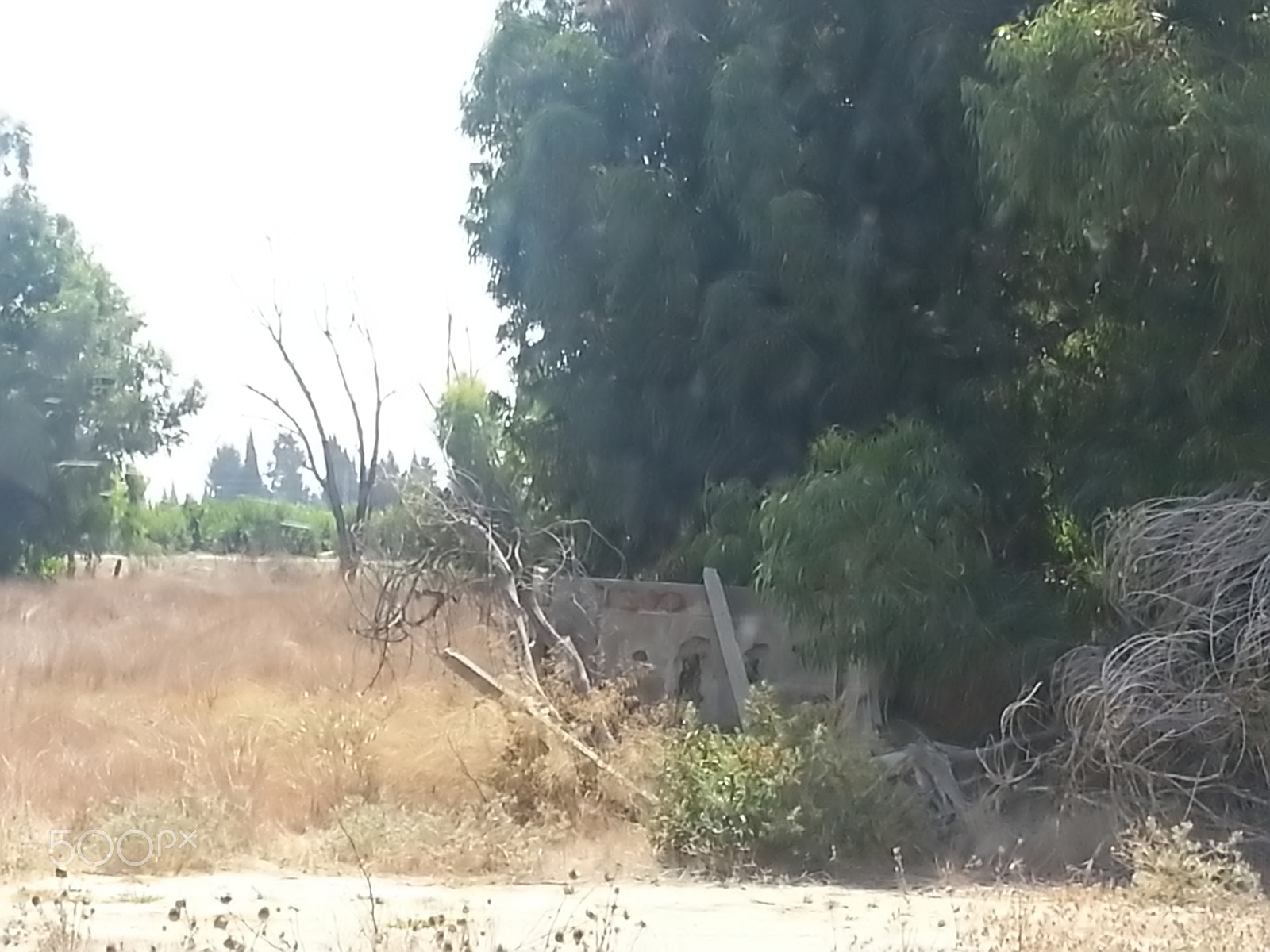 Samsung Galaxy S3 sample photo. Kibbutz einat (1) photography