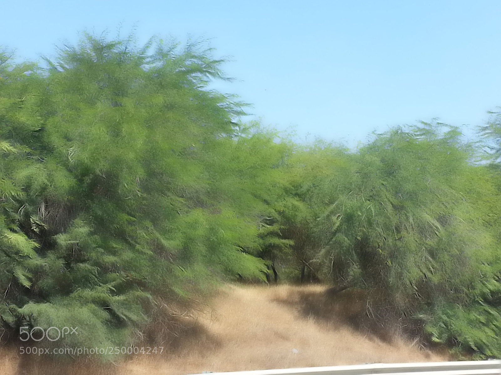 Samsung Galaxy S3 sample photo. Kibbutz einat (1) photography
