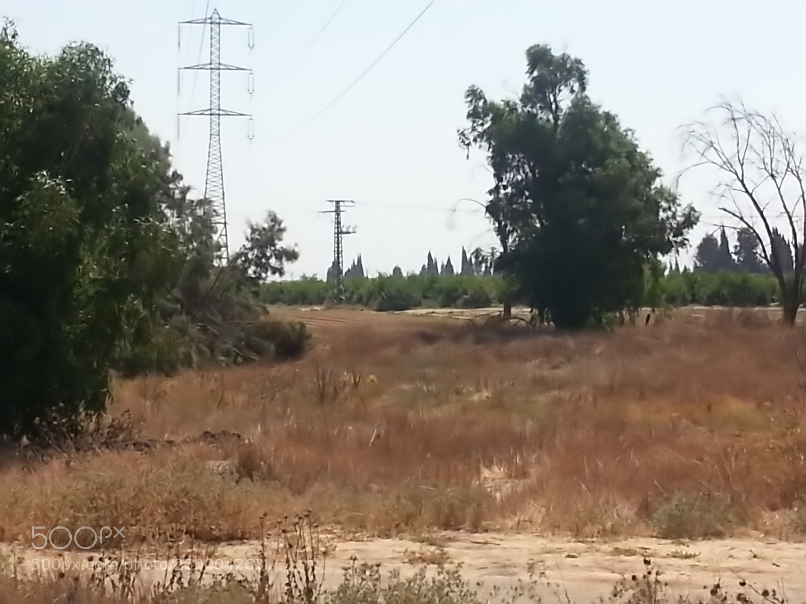 Samsung Galaxy S3 sample photo. Kibbutz einat (1) photography